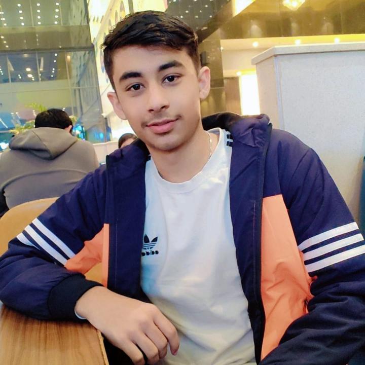 Judofly analyst 