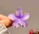 10754.webp
