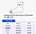 12226.webp