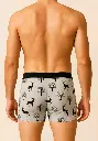 13700.webp