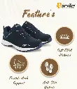 22751.webp
