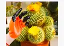 25780.webp