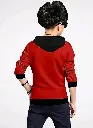 26102.webp
