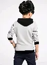 26066.webp