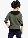 26078.webp