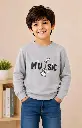 26852.webp