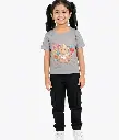 27539.webp