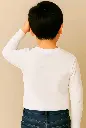 27733.webp