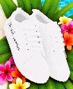 29205.webp
