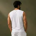 3943.webp