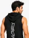 41036.webp