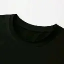 4029.webp