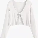 7055.webp