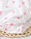 8217.webp