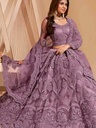 Women's Net Embroidered Lehenga Choli