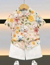 Boys Shirt Shorts Set