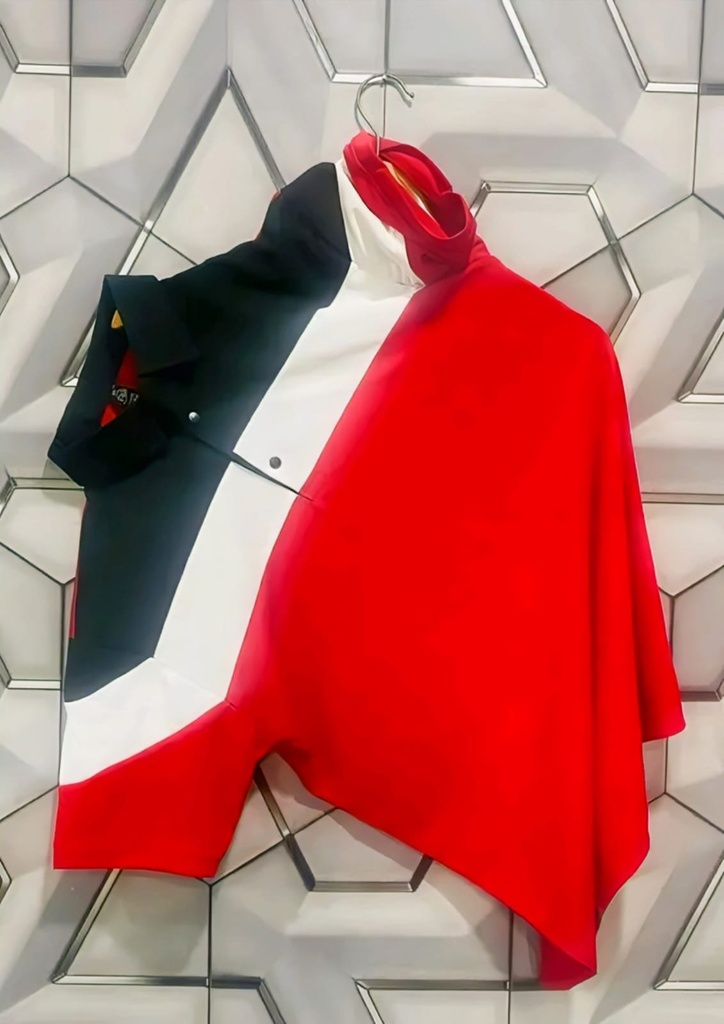 Men's Colorblock Cotton T-Shirt V
