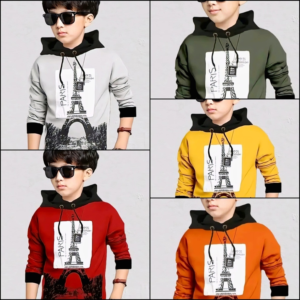 Boys Hooded Eiffel Tower Sweatshirt (2-3Y, Green)