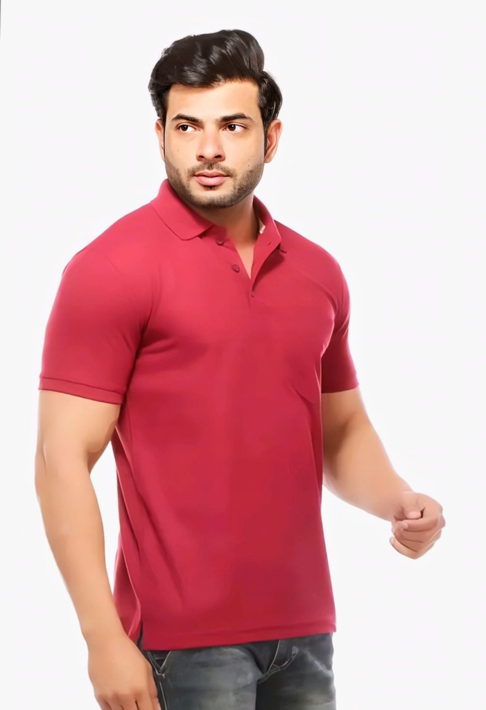 Men Polo Neck T Shirt (M)